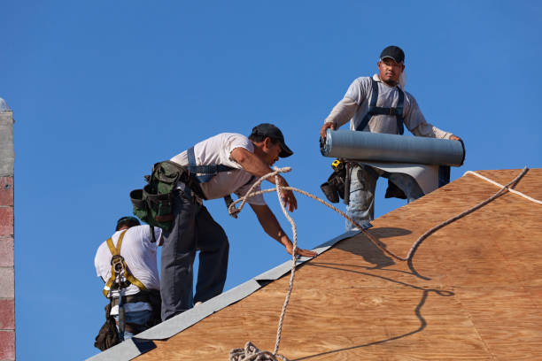 Best Local Roofing Companies  in Iowa Colony, TX