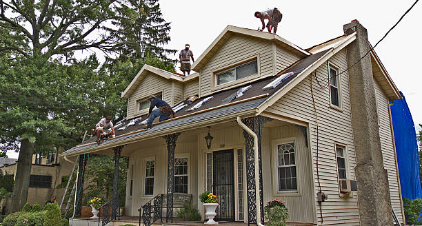 Best Metal Roofing Contractor  in Iowa Colony, TX